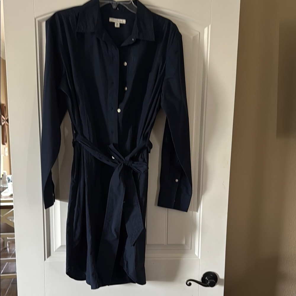 Blue Long Sleeve Buttoned Tie Front Dress